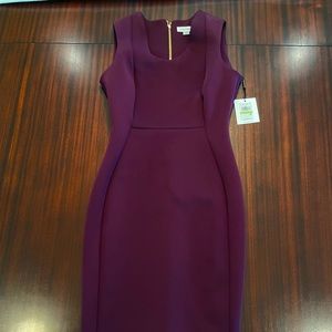 Calvin Klein Women’s Scuba Dress